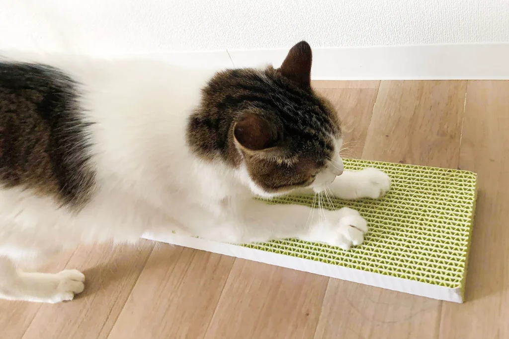 「ネコトギ」で爪とぎをする猫