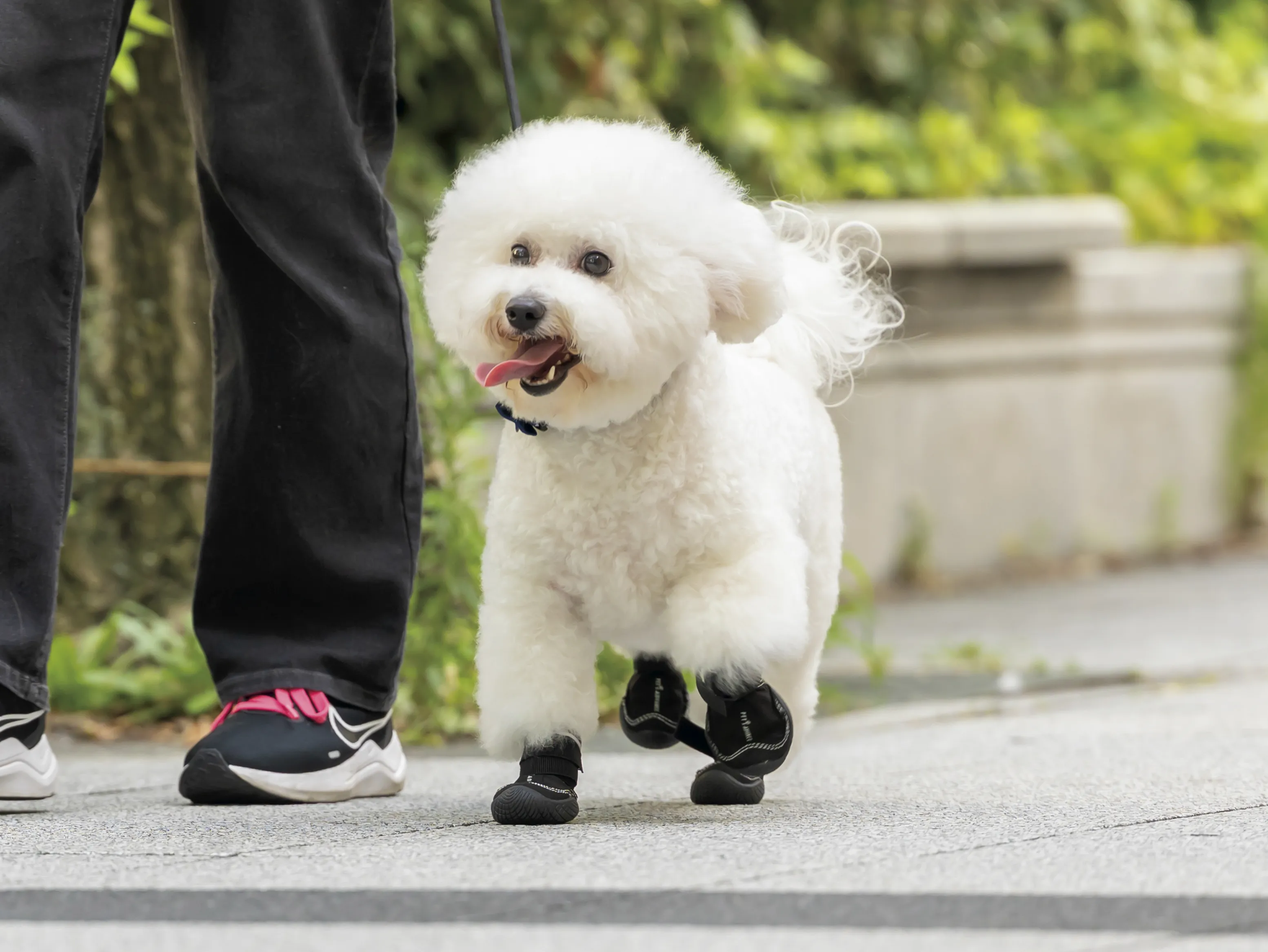 いぬさん専用 いいいいいいぬさんとツーショ！いぬさんとツーショ！！！！ありがとう