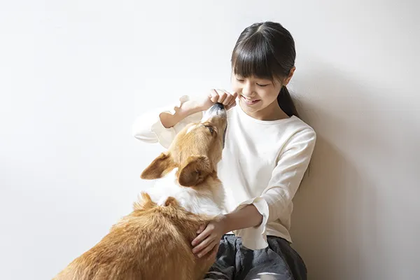 笑顔で飼い主と向き合うウェルシュ・コーギー・ペンブローク