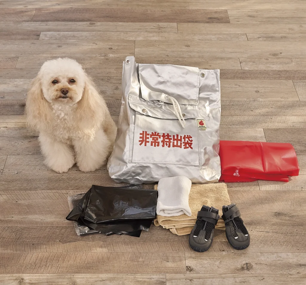 犬用防災グッズの準備