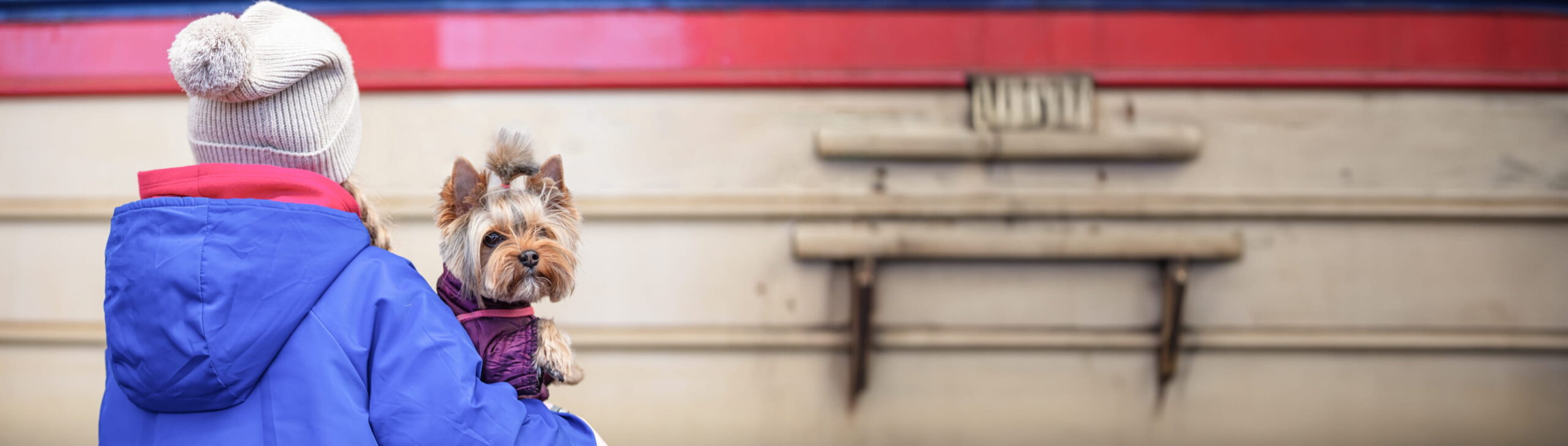 青い服を着た人が犬を抱っこしている様子