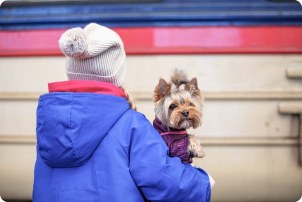 青い服を着た人が犬を抱っこしている様子