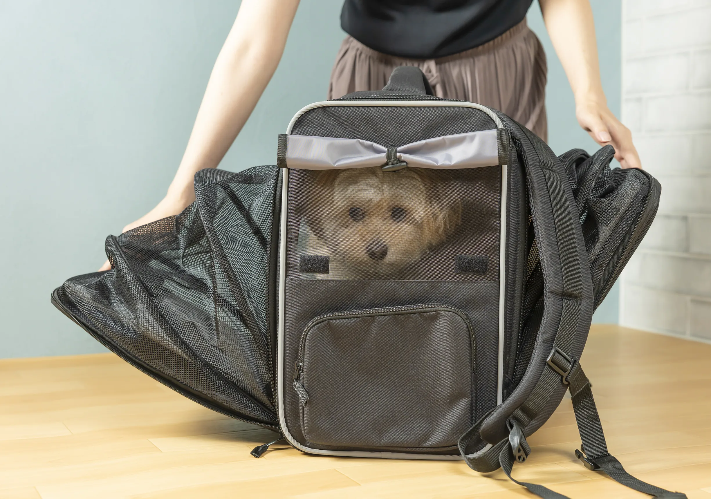 ペットが入ったまま展開可能なリュック