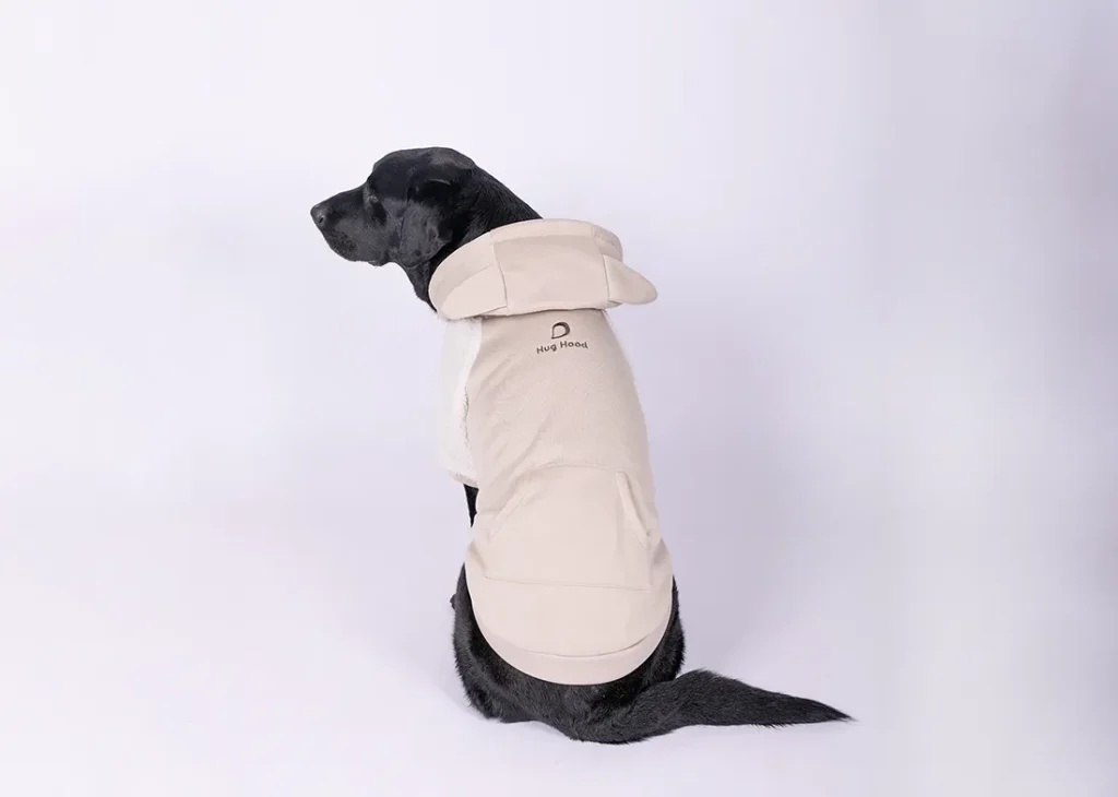 パーカーを着たラブラドール