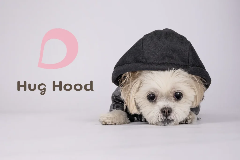 ハグフードを着用した小型犬