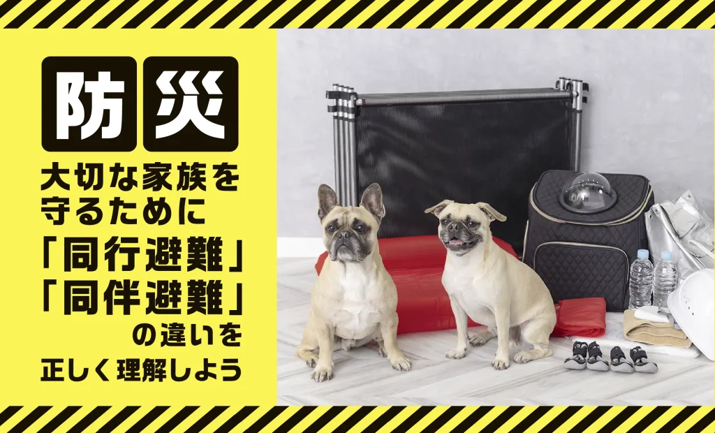 ペット防災のバナーと防災グッズを準備する犬2頭