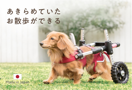 犬の車椅子 ドギーサポーターM（レッド） - 犬用品