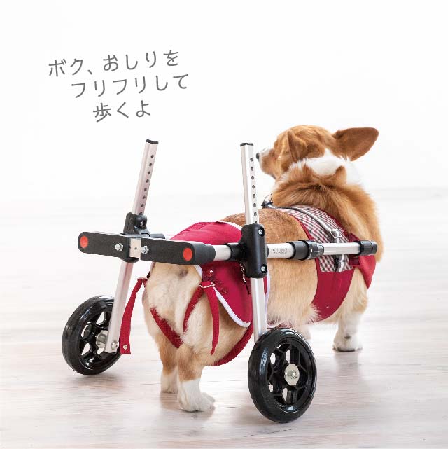 補助車　車椅子　犬