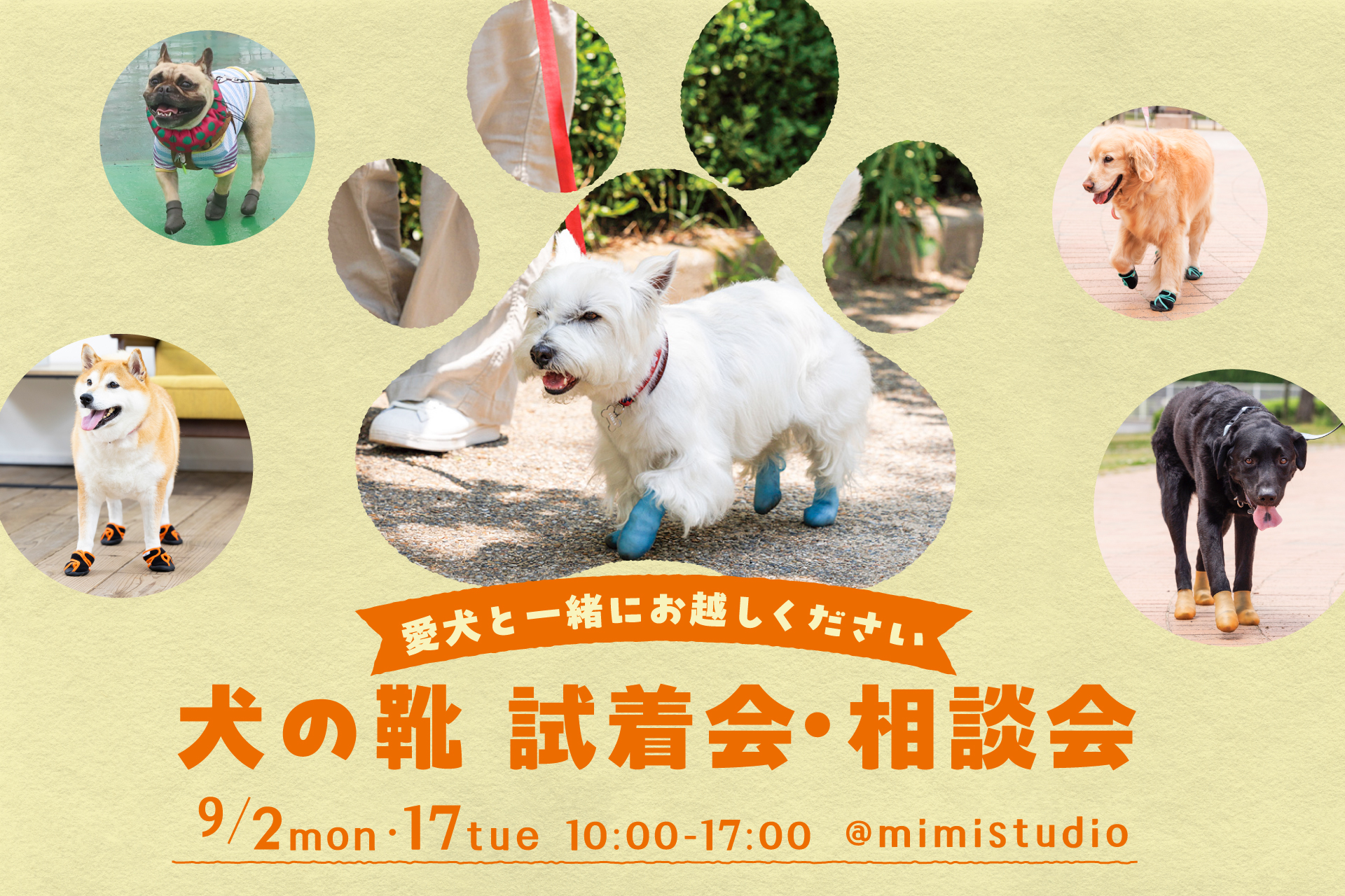 犬の靴　9月試着会・相談会