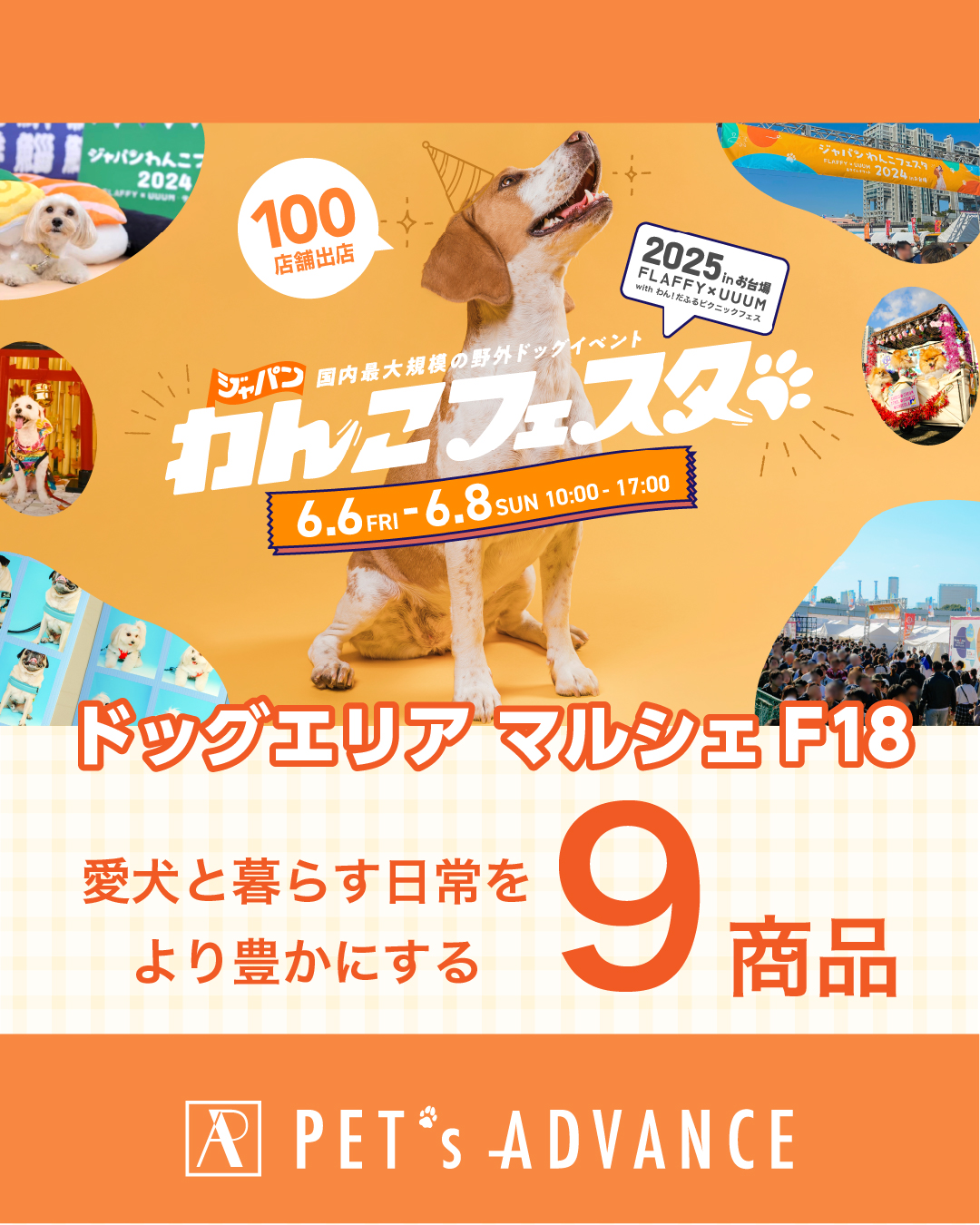 ジャパンわんこフェスタ2025