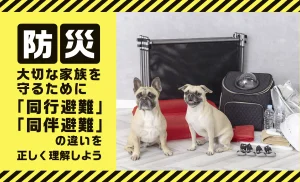 To protect your precious family, let's properly understand the difference between "evacuation with pets" and "pet-friendly evacuation"