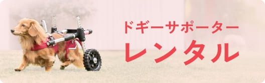 ドギーサポーター レンタル