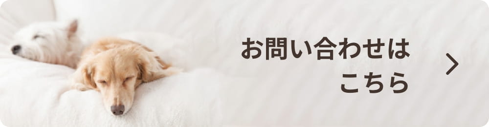 お問い合わせはこちら