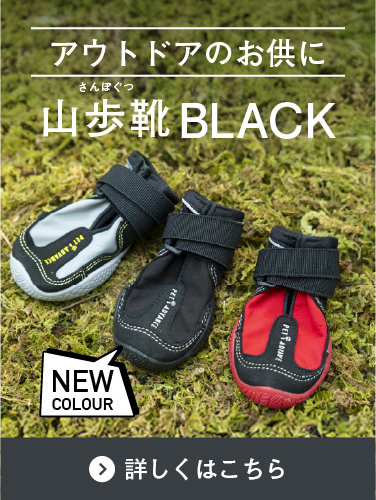 新発売の山歩靴の説明バナー