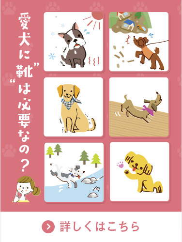 愛犬に靴は必要なの？バナー