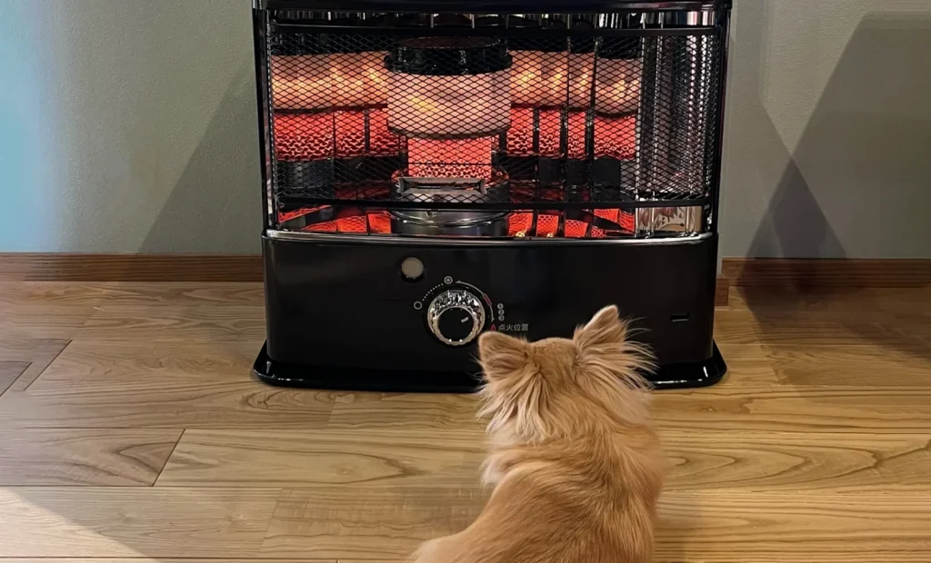 ストーブにあたる犬