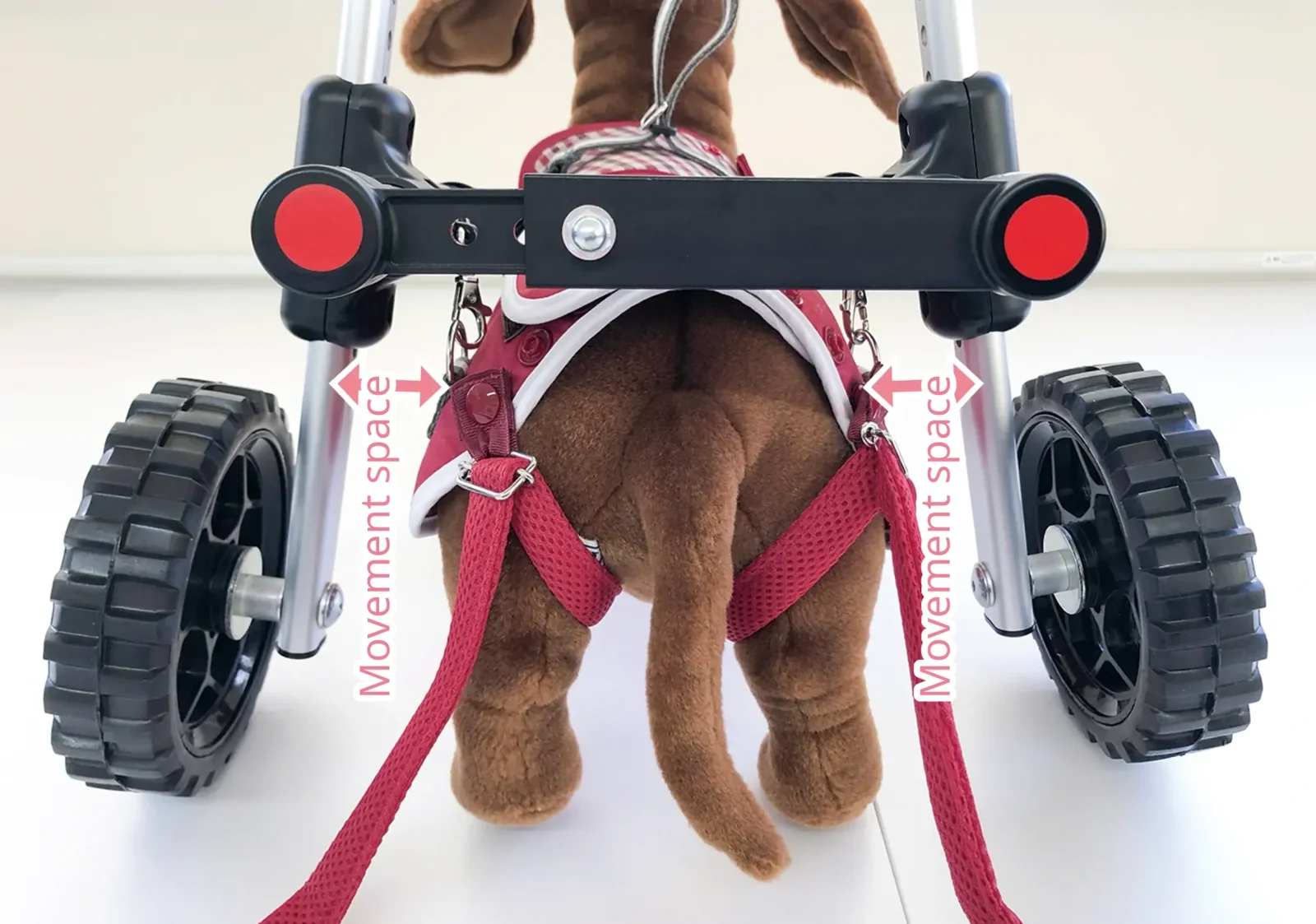 Illustration of Doggy Supporter's range of motion