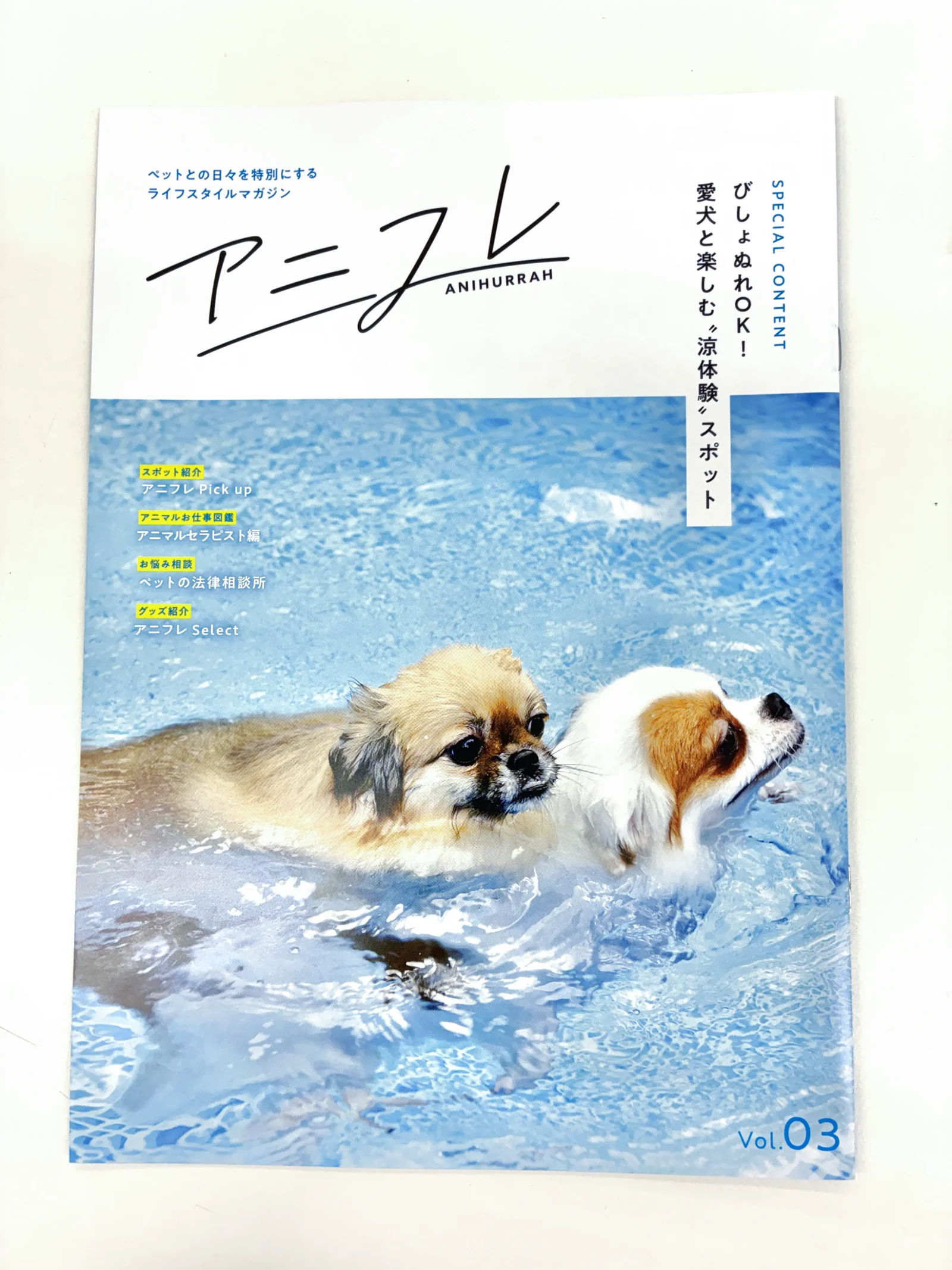 ペットアドバンスの、ハードタイプの犬用靴、山歩靴（さんぽぐつ）が