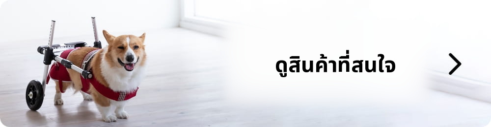 ตรวจสอบผลิตภัณฑ์ที่คุณสนใจ