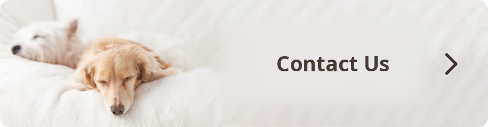 Contact Us Here