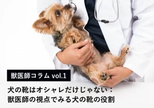 犬の靴はオシャレだけじゃない：獣医師の視点でみる犬の靴の役割