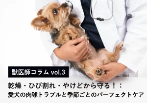 乾燥・ひび割れ・やけどから守る！愛犬の肉球トラブルと季節ごとのパーフェクトケア