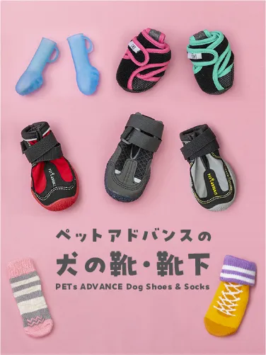 ペットアドバンスの犬の靴・靴下バナー