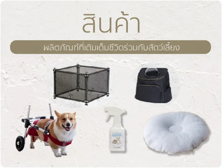 ภาพถ่ายสินค้าอำนวยความสะดวกต่างๆ เช่น รถเข็นและเตียงสำหรับสัตว์เลี้ยงวางเรียงกัน