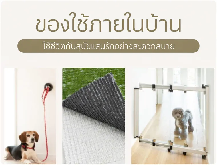 ภาพภายในห้องที่ติดตั้งรั้วสำหรับสัตว์เลี้ยงและแผ่นกันลื่น