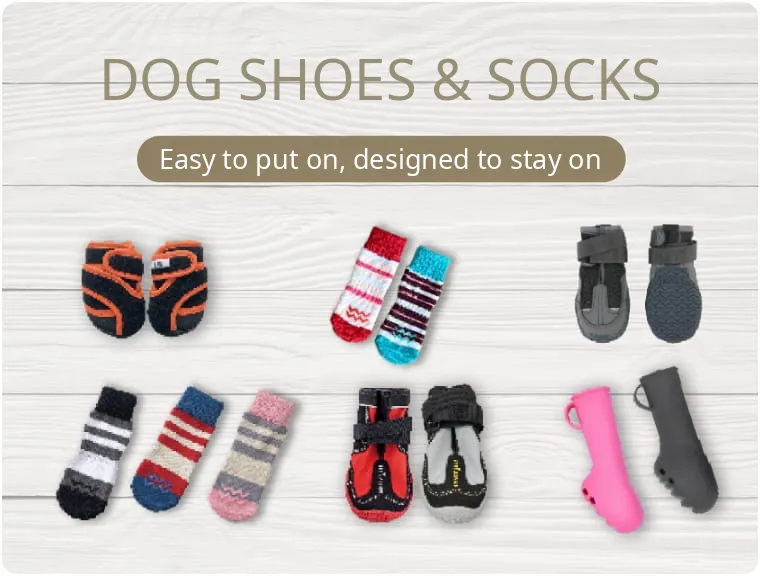 Photo of colorful dog shoes and socks lined up