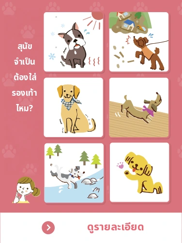 แบนเนอร์สุนัขของคุณจำเป็นต้องใส่รองเท้าหรือไม่