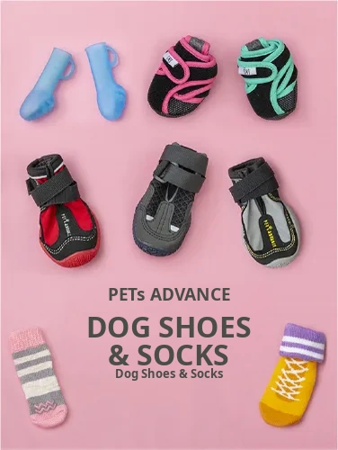 PETs ADVANCE dog shoes and socks banner