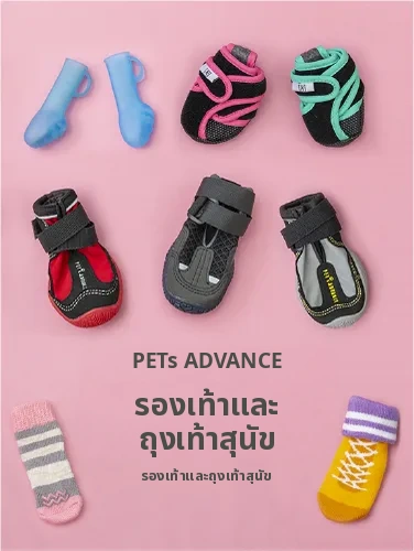 แบนเนอร์รองเท้าและถุงเท้าสุนัขของ PETs ADVANCE